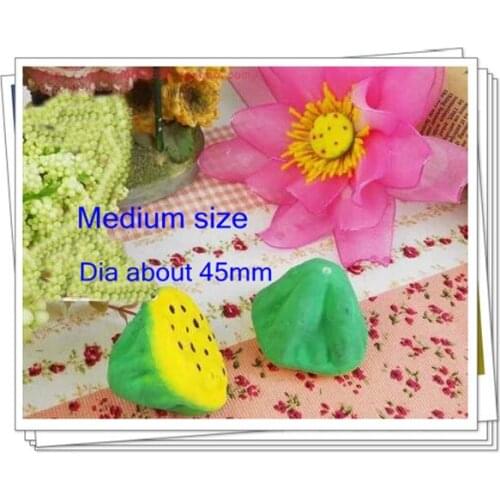 Free shipping medium size lotus seedpods DIY lotus centers / stocking flower stamen/DIY flowers stamens 50 pieces/lot
