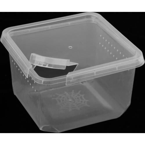 Plastic Insect Spider Habitat Feeding Box Cage Container REUSABLE