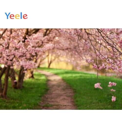 Spring Park Tree Branch Pink Flower Nature Scenery Backdrop Baby Shower Vinyl Photography Background For Photo Studio Photophone