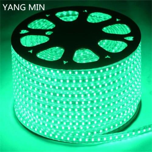 YNAGMIN FREE SHIPPING High Voltage AC110V 220V Waterproof LED Strip Light SMD 2835 LED Strip 3 YEARS WARRANTY