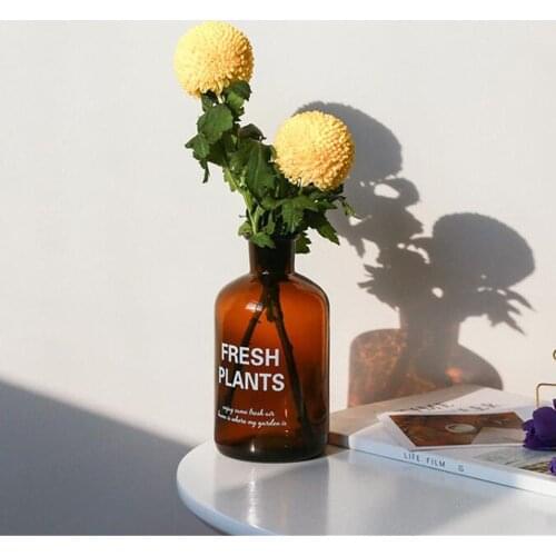 Vintage Brown Glass Vase Nordic Desktop Dry Floral Storage Jar Christmas Decor Fresh Flower Bottle Ins Simple Plant Container