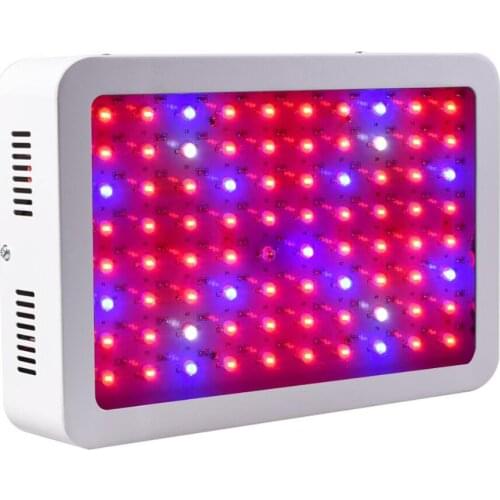 SLINYA Professional Lighting