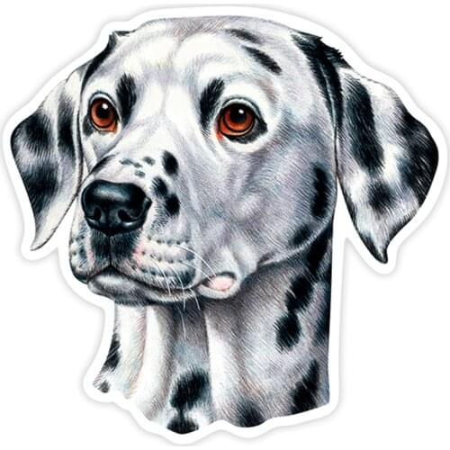 S40201# Various Sizes PVC Decal Dalmatian Dog Car Sticker Waterproof on Bumper Rear Window Laptop Refrigerator Toilet