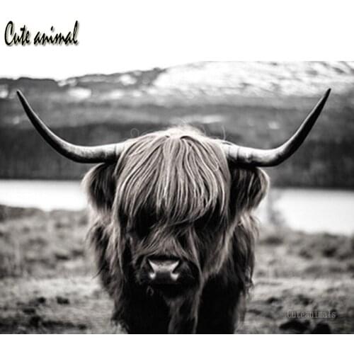 5d diamond painting Highland cattle animal landscape full drill round square diamond mosaic stitch cross diamond embroidery 2020