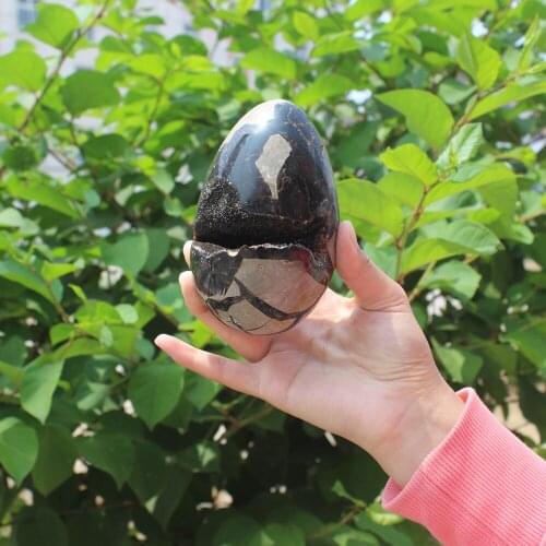 800g Natural curvature of the furnishing articles Turtle grain stone egg Ball Septarian nodule Fossil Crystal Healing quartz 60