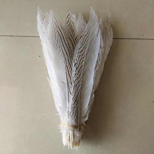 500pcs / lot white chicken silver feathers 10-12 inch / 25-30 cm silver white tail feather stage celebration DIY decoration