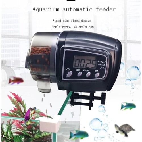 Quail Aquarium Feeders