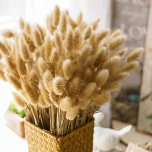 Dried Flowers Dog Tail Grass Bouquet Rustic Style Country Vase Flower Arrangement Wedding Bouquet Photography Props