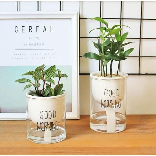 Automatic Watering Ceramic Succulent Plant Flower Pot with Glass Water Container