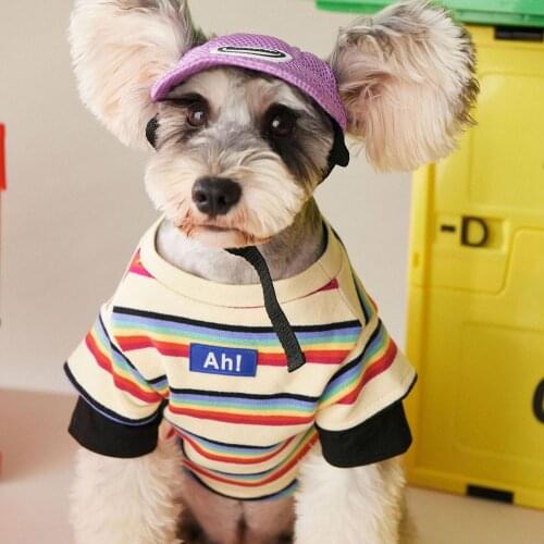 Pet clothes autumn dogs Colored striped hoodie Teddy VIP Corgi Schnauzer cat dog shirt small and medium-sized dogs