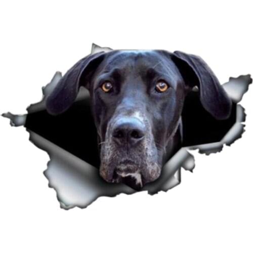 Funny Black Great Dane 3D Graphic Animal Car Sticker Car Accessories Vinyl Decal Cover Scratches Waterproof PVC 15cm X 9cm