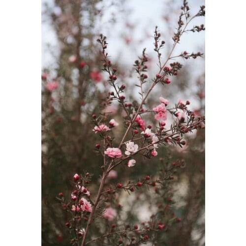 2020 Diamond painting diamond diamond embroidery vase flowers family decorative pattern handmade New Year gift zx