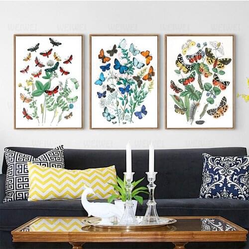 Vintage 1882 Insects Encyclopedia Posters European Butterflies And Moths Classic Canvas Paintings Wall Stickers Nursery Decor