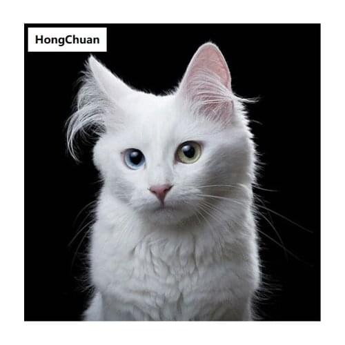 5D DIY square/round diamond painting cross stitch cute cat animal needlework home decoration mural mosaic diamondembroidery gift