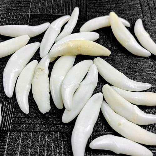 Natural Tibetan Animal Teeth Tameless Dog Fangs Tooth Amulet Charm Pendants Man Decorate DIY Necklace Earring Male Jewelry