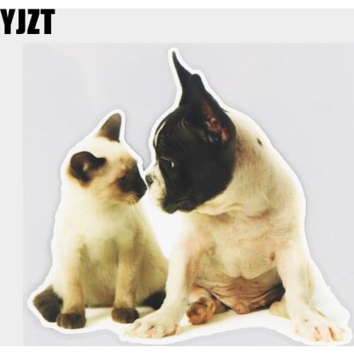 YJZT 17.1×16CM Friendly Cats And Dogs Fashion Door Decoration Car Sticker Vinyl Decals Accessories 21A-0076