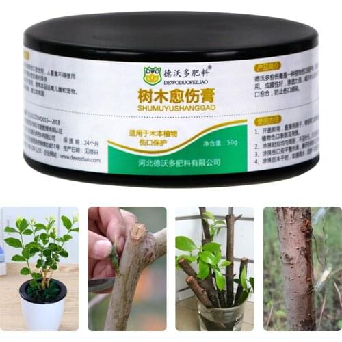 Tree Wound Bonsai Pruning Cutting Paste Tree Pruning Sealer Pruning Compound For Garden Plant Grafting And Wound Treatment