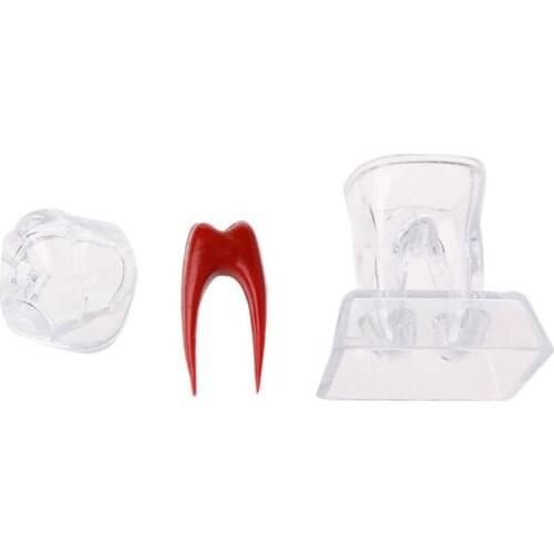 Dentist Dental Base Hard Plastic Teeth Tooth Molar Model Separable Fit for Smile NEW