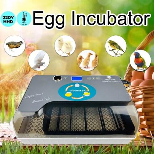 Newest Farm Hatchery Incubator Brooder Machine 12 Egg Hatchers Chicken Automatic Eggs Incubator Bird Quail Brooder