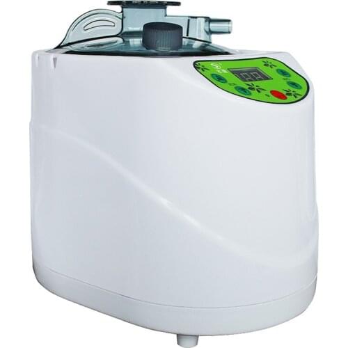 Steam generator 220V 1000W capacity 2L household steam sauna