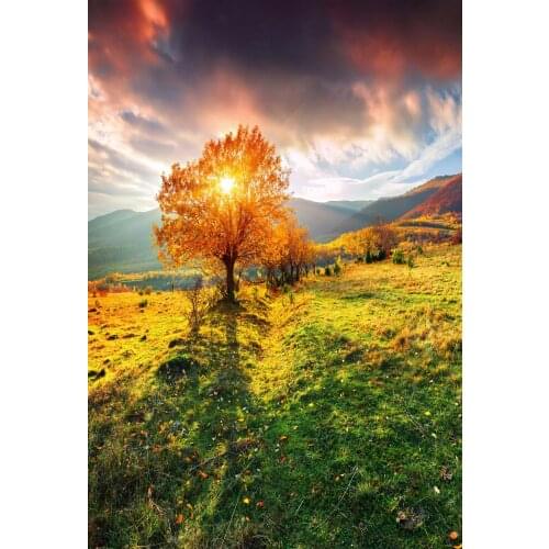 VinylBDS Grassland Autumn Studio Background Backdrop Holiday Mountains Scenic Backdrops With Tree Princess Photography Backdrops