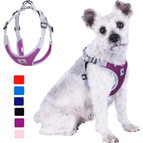 Breathable Mesh Dog Harness Vest For Small Medium Dogs Reflective Puppy Cat Harness Pug Chihuahua French Bulldog Pet Supplies