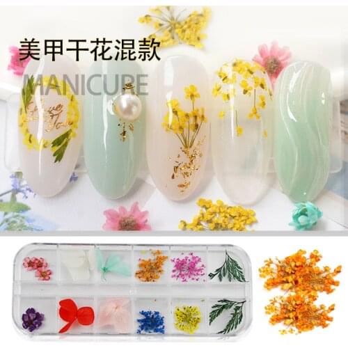 12 Color Nail Art Jewelry Set Sun Flower Lace Five Petal Flower Nail Art Nail Sticker
