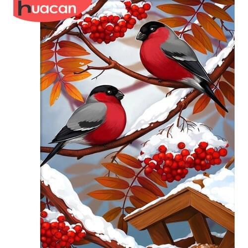 HUACAN Picture By Number Bird Animal Kits For Adults Handpainted DIY Paint By Number Winter Snow On Canvas Home Decoration