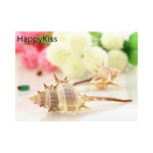 HappyKiss 10pcs/lo 7-9cm Natural Shell Loose Beads for seashells natural crafts natual big conch party