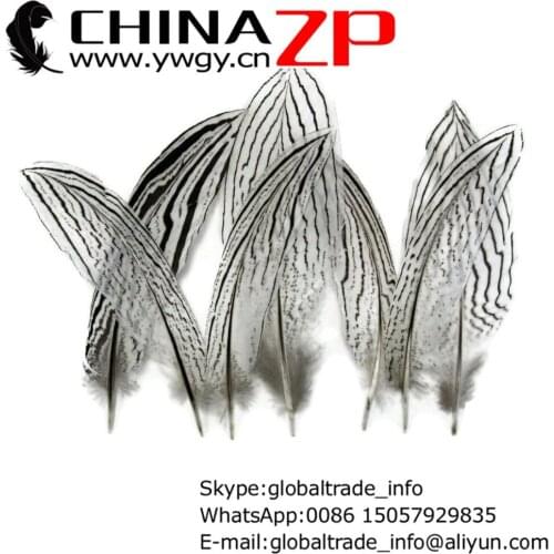 CHINAZP Factory Cheap Wholesale 500pcs/lot 20~25cm(8~10inch) Length Unique Natural White Silver Pheasant Plumage Feathers