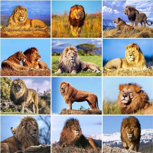 Evershine Full Square Round Diamond Painting Lion Diamond Embroidery Cross Stitch Animals Mosaic Pictures Of Rhinestones Crafts