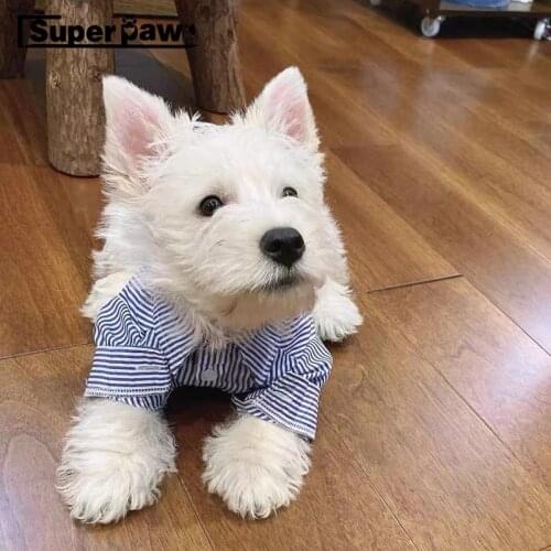 Fashion Pet Dog Shirt French Bulldog Pajamas For Small Medium Dogs Puppy Schnauzer Chihuahua Pug Vest T-shirt GKC75