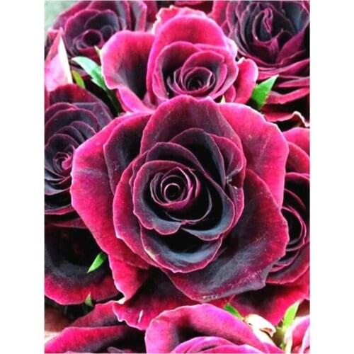 New Product Full Diamond Square 5D Diamond Painting Cross Stitch Beautiful Flower Rhinestone Art Embroidery Decoration FH682