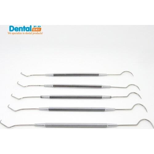 5 PCS Dental Stainless Steel Explorer Expro Periodontal Probe Dentist Equipment Global Free Shipping