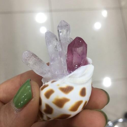 1pcs Natural crystal cluster carving Snail Crystal Cluster Furniture decoration