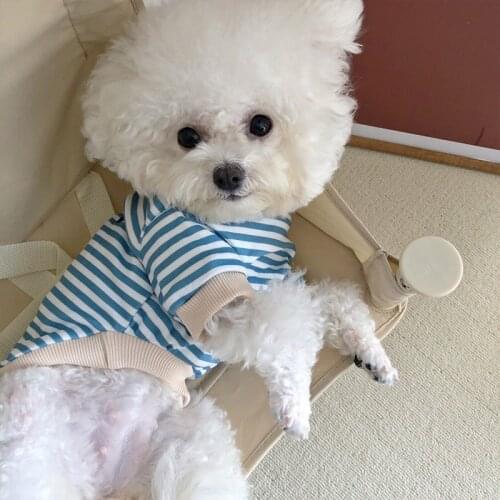 Striped Pet Clothes Chihuahua Puppy Dog Clothes Soft Cotton Pet Shirt Yorkshire Pet Clothing For Small Dogs Costume Pug York