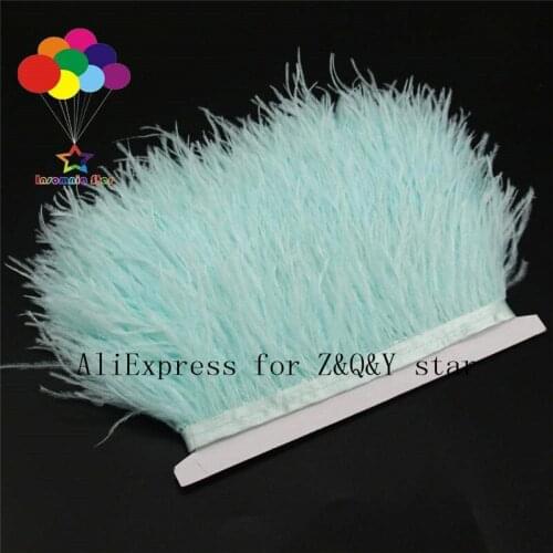 Z&Q&Y natural beautiful ostrich hair dyed into a light book green green into a cloth edge DIY clothing ornament crafts feathers