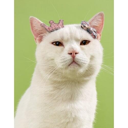 Super cute flower pet pink hairpin jewelry color style random delivery pet hairpin outstanding quality creative and interesting