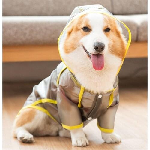 Bigeyedog Raincoats For Dogs