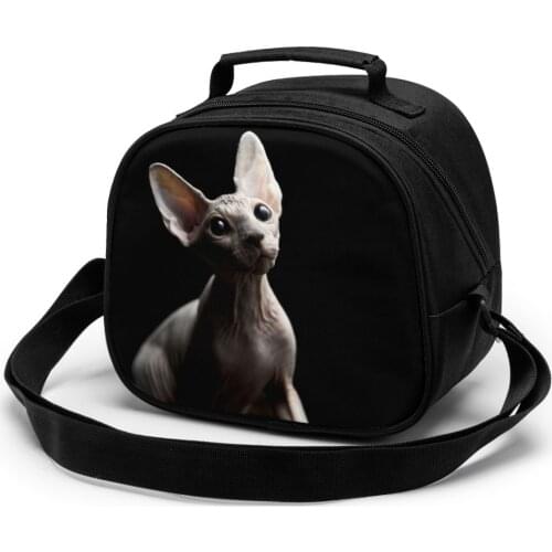 Sphynx Cat Children Lunch Bag Lunch Bag Student Portable Insulated Office Lunch Box Picnic Bags Thermal Food Tote Handbag