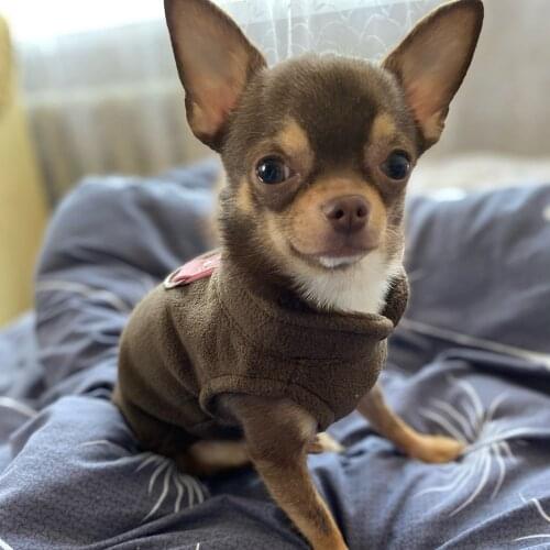 Autumn Winter Pet Clothes Thick Fleece Dog Coat Dog Clothes Winter Pet Coat Dog Cotton Vest Jacket Dog Outfit Clothes for Pets