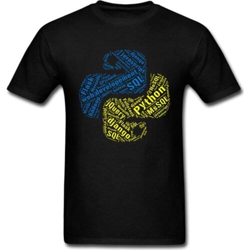 Python Software Developer Programmer Programming Coder SQL Javascript Flask Funny Birthday Gift T Shirt Printed tee USA size