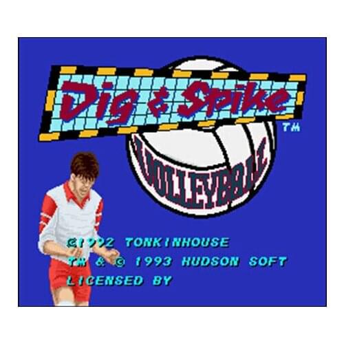 Dig & Spike Volleyball 16 bit Big Gray Game Card For NTSC Game Player Drop Shipping
