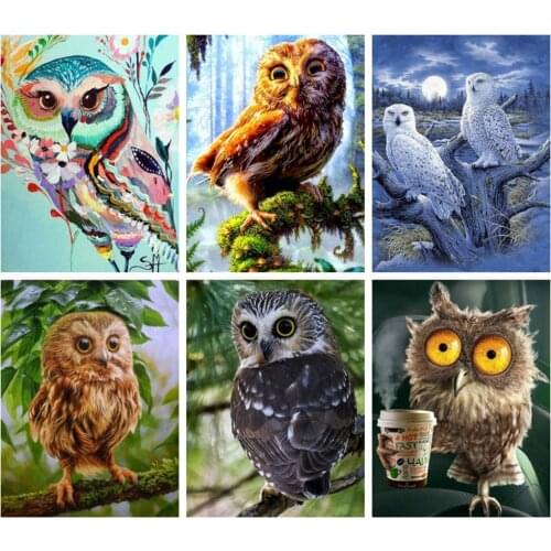 HUACAN Diamond Painting Full Square Owl 5D Diamond Embroidery Animals Home Decoration DIY Diamond Mosaic Birds Diamond Art