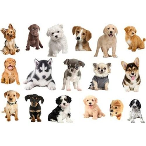 Lifelike pet doggy dog image mural stickers cute 3d puppy vinyl wall decals home shop decoration animal poster wallpaper 70*50cm