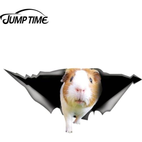Jump Time 13cm x 6.1cm Guinea pig sticker Bumper Animal Car Stickers 3D Pet Graphic Vinyl Decal Car Window Laptop