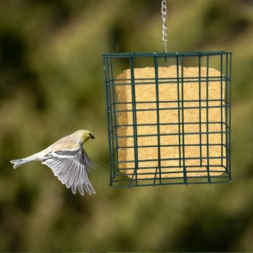 Outdoor Garden Bird Feeder Tit Wild Bird Food Distributor Fat Ball Feeder Cakes Bread Grease Ball Rack 4.72*5.12*1.85 Inch