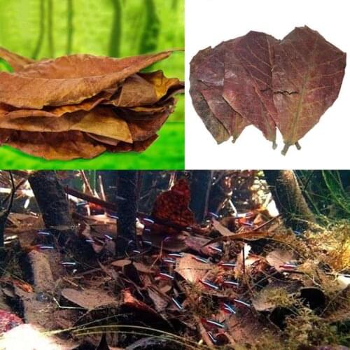 Vinds Aquarium Cleaners