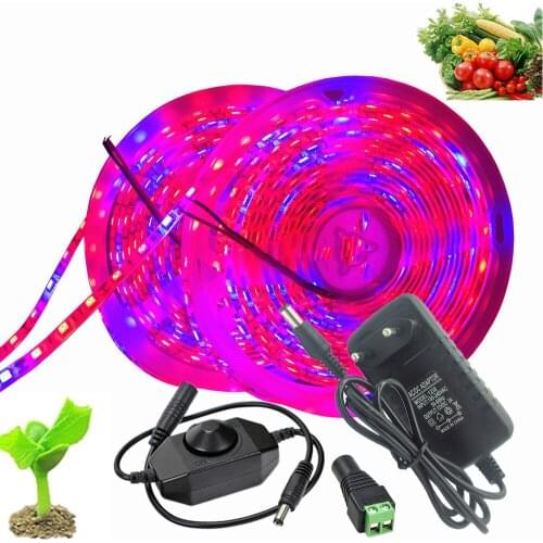 HOMOLED Phytolamps For Plants