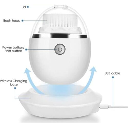 RAGON-IEC Electric Face Brushes